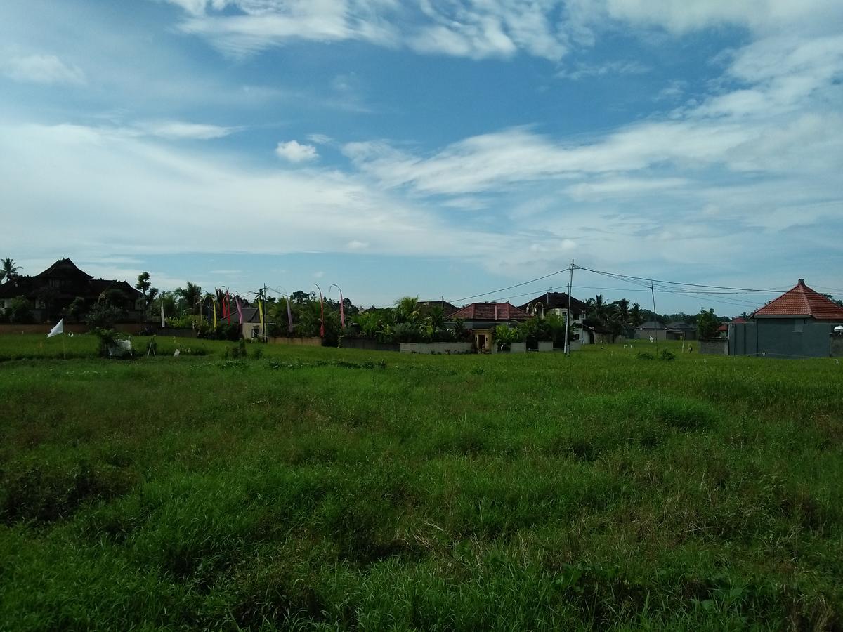 Rumah Rose Ubud (Bali) Exterior photo